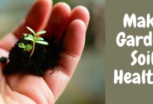 Garden Soil || How To Make It Healthy