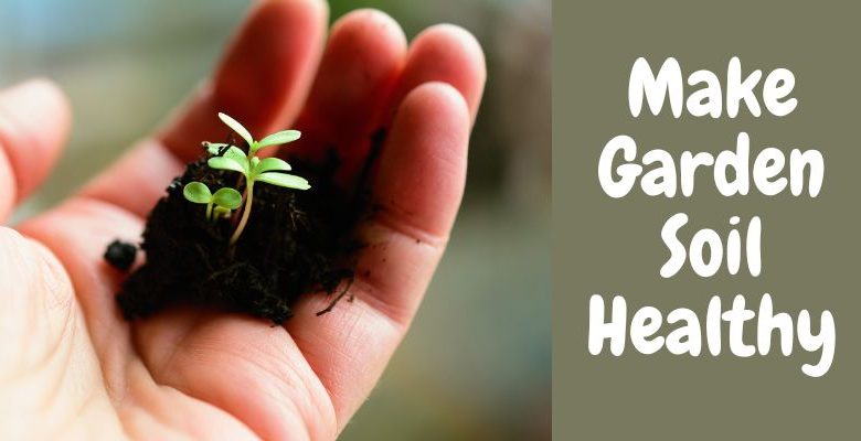 Garden Soil || How To Make It Healthy